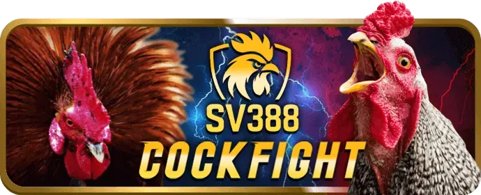 Chính sách bảo mật và quyền riêng tư của i9bet login